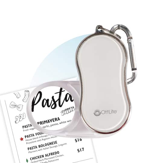 Ottlite Pocket Lighted Magnifier